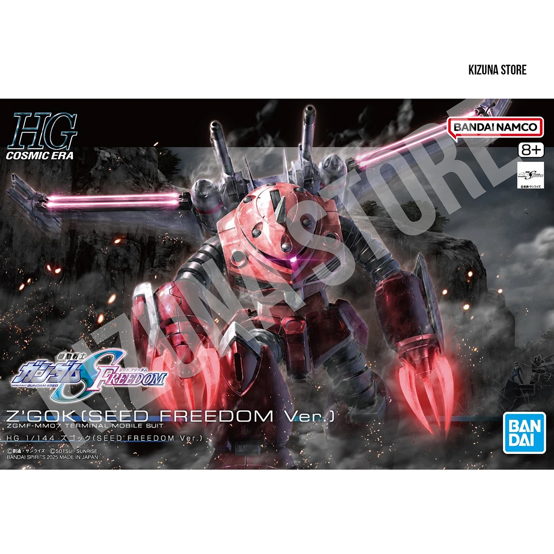 HG ZGMF-MM07 Z'Gok (Gundam Seed Version) 1