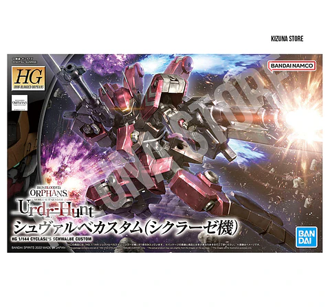 HG Cyclase's Schwalbe Custom