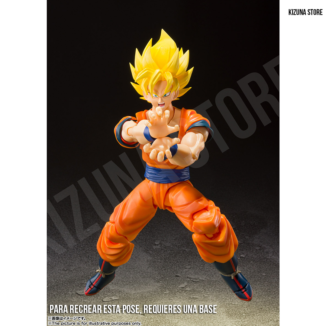 Super Saiyan Full Power Son Goku 5