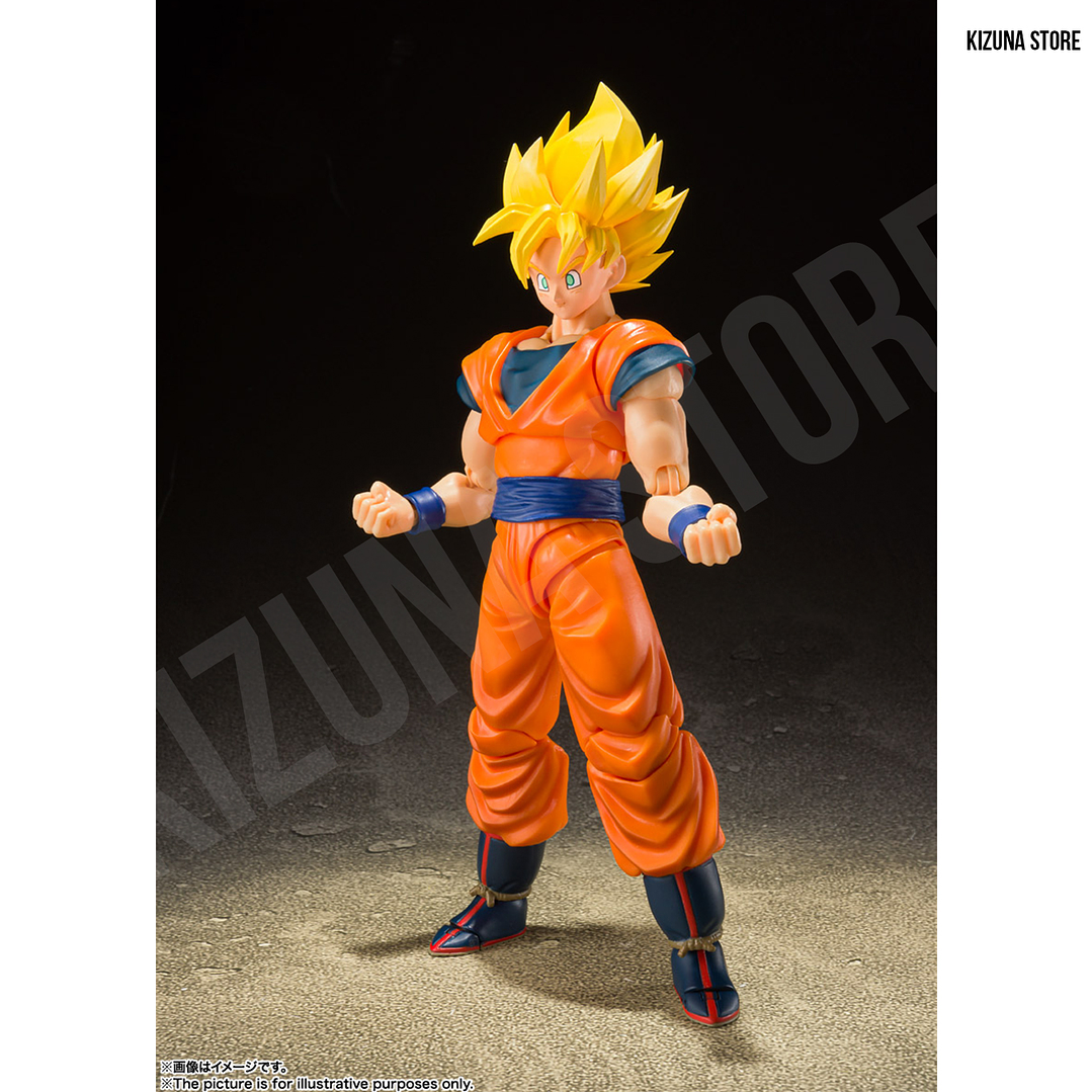 Super Saiyan Full Power Son Goku 6