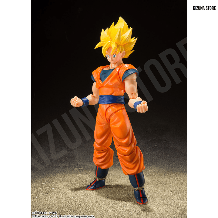 Super Saiyan Full Power Son Goku 6