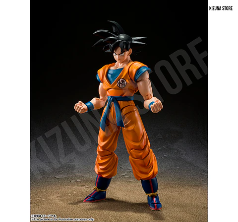 Son Goku -Super Hero-