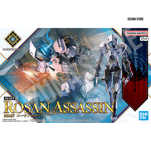 30MF #10 Rosan Assassin