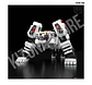 SMP: Gosei Sentai Dairanger (Power Rangers Mighty Morphin) - White Tiger (Limited Edition) - Miniatura 2
