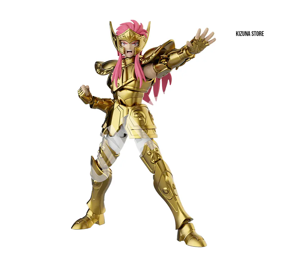 Saint Seiya Champion Class Camus Acuario 5