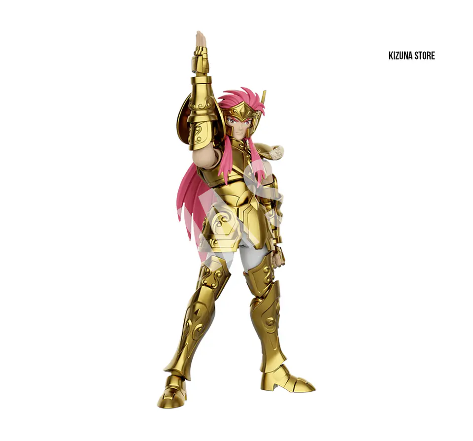 Saint Seiya Champion Class Camus Acuario 6