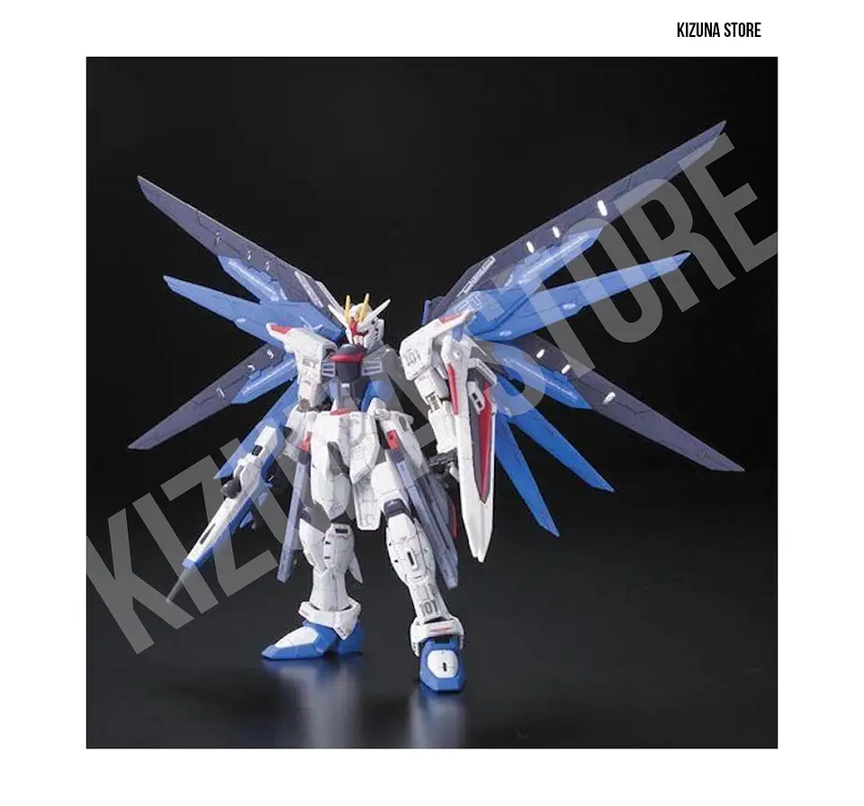 RG Freedom Gundam #05 3