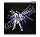 RG Freedom Gundam #05 - Miniatura 4