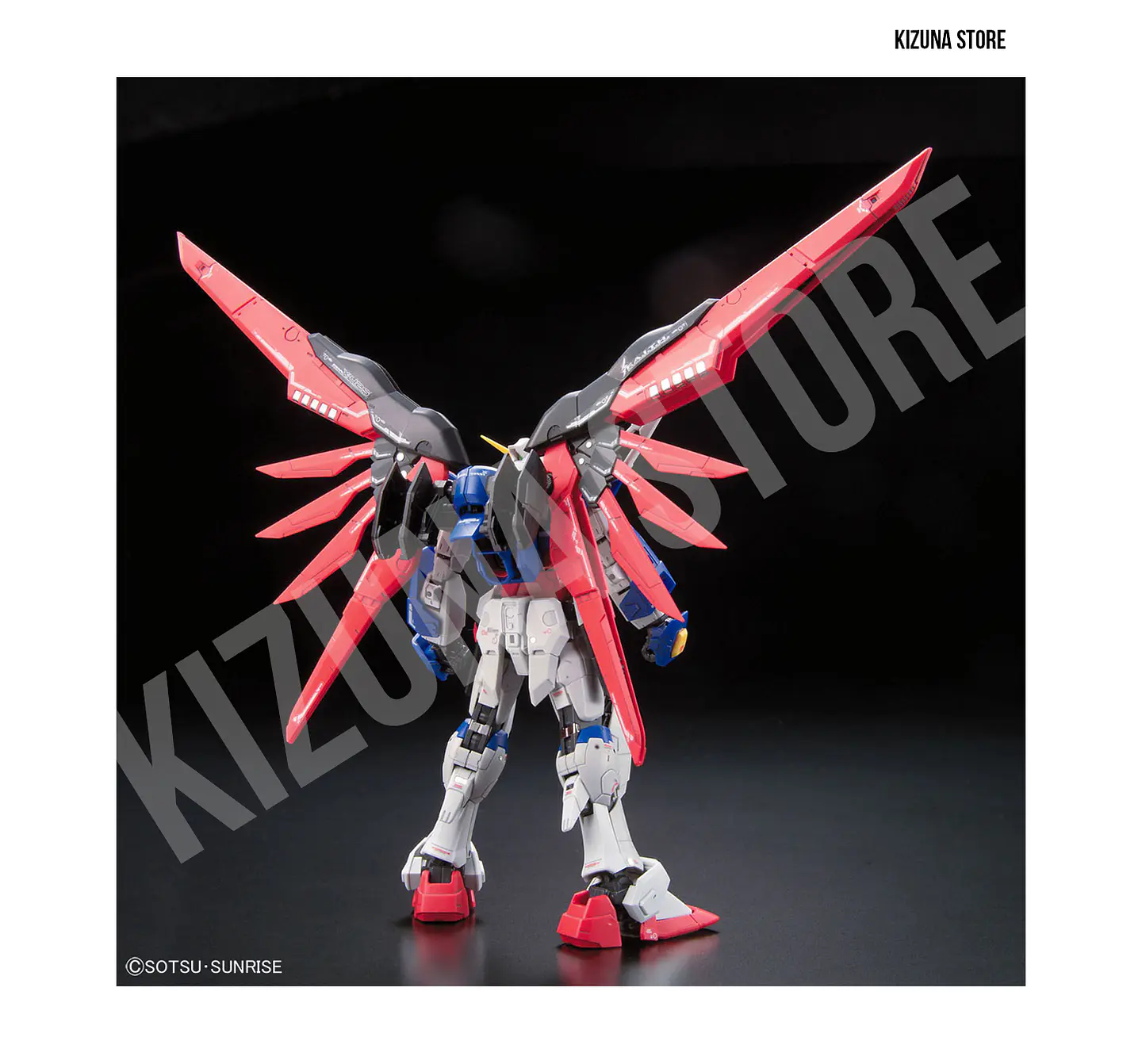 RG Destiny Gundam #11  4