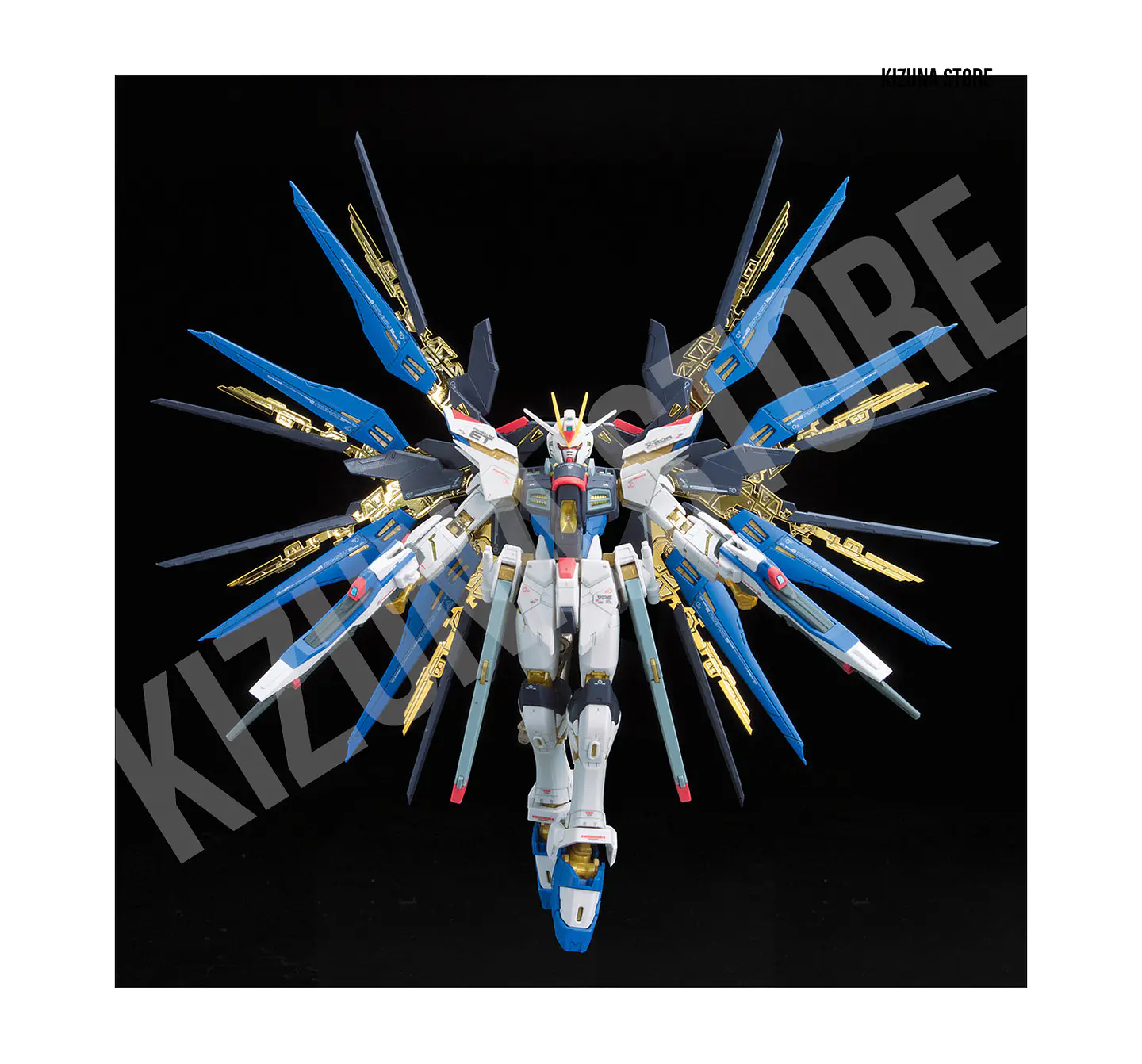 RG Strike Freedom #14 12
