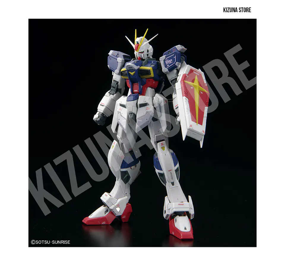 RG Force Impulse Gundam Spec II #39 3