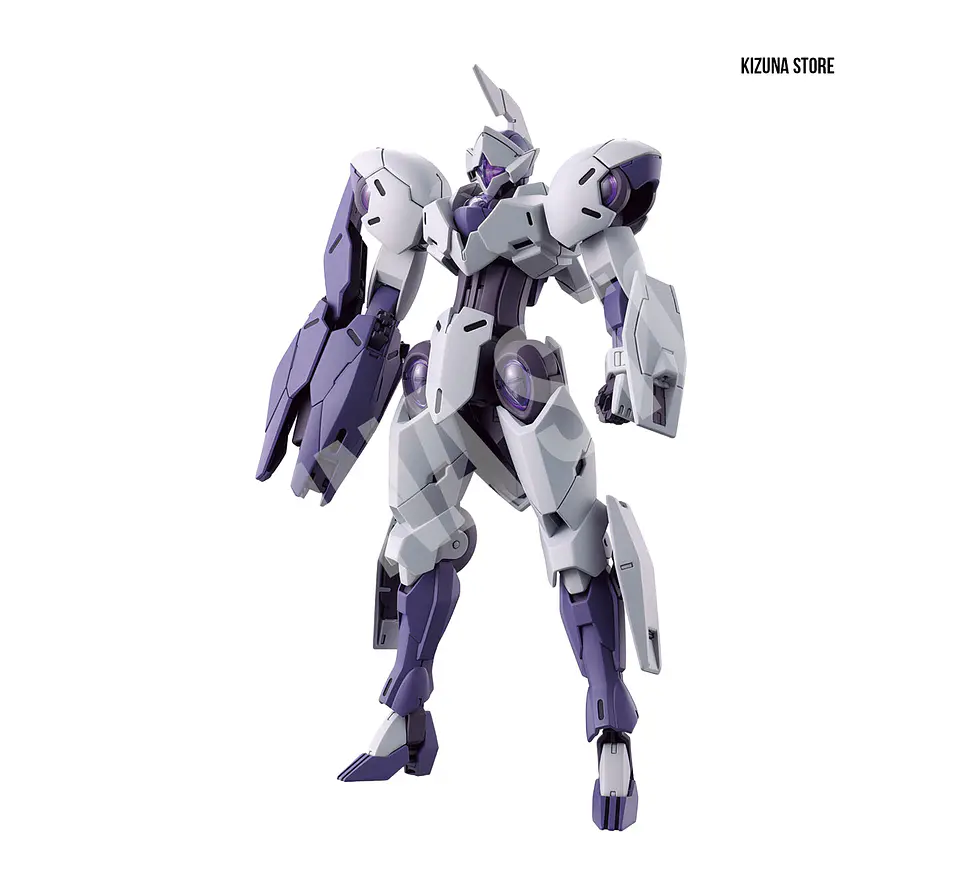 HG Michaelis 1