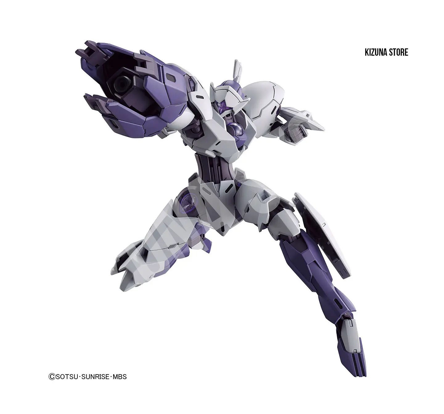 HG Michaelis 3
