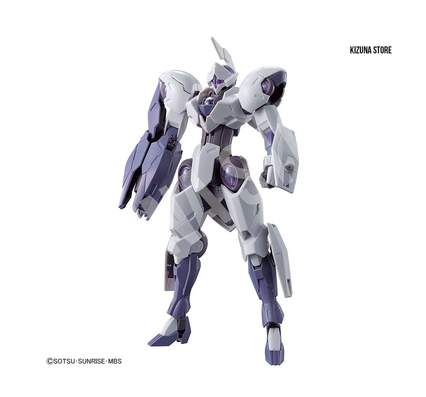 HG Michaelis 5