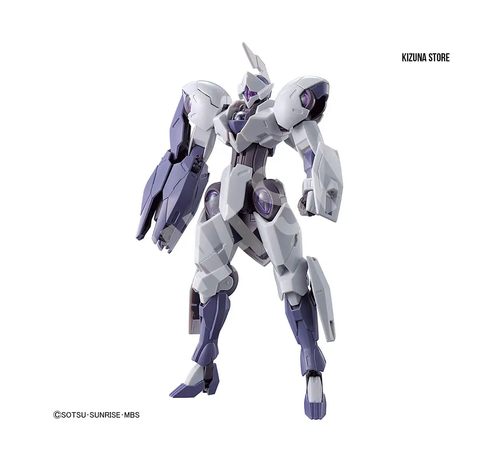 HG Michaelis 5