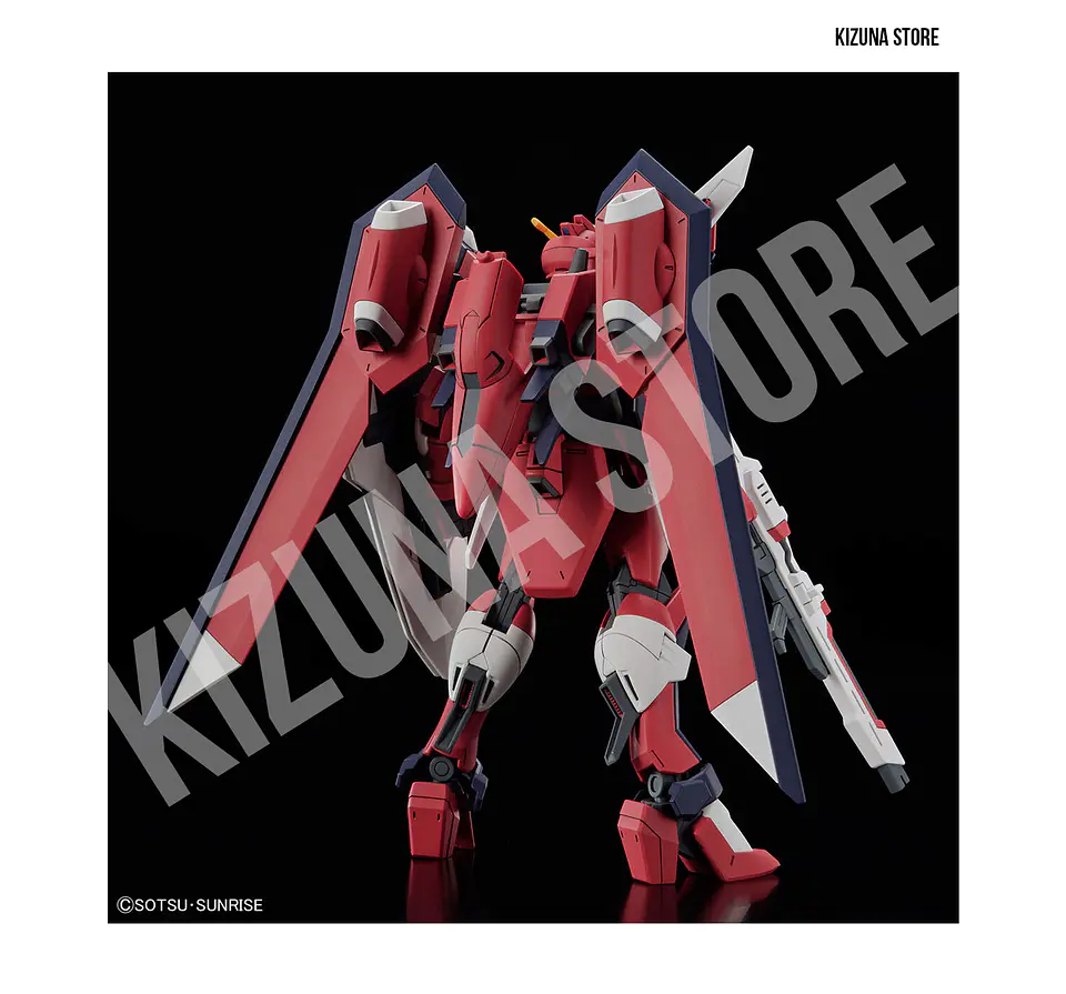 HG Immortal Justice Gundam 3
