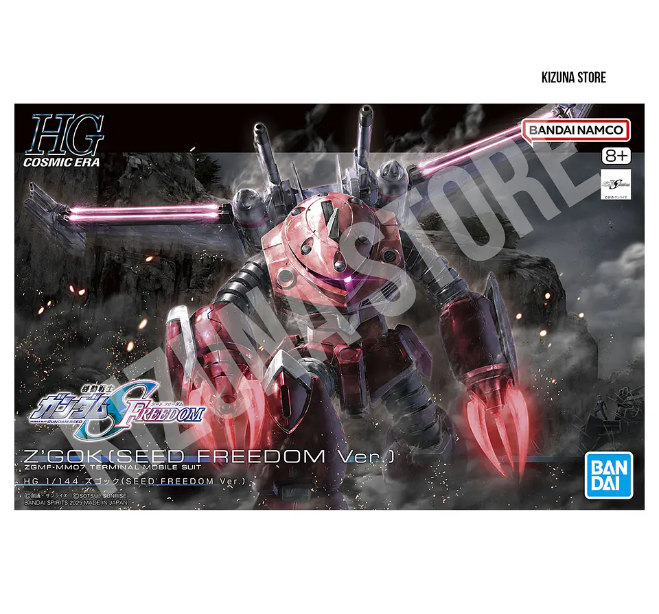 HG ZGMF-MM07 Z'Gok (Gundam Seed Version) 2