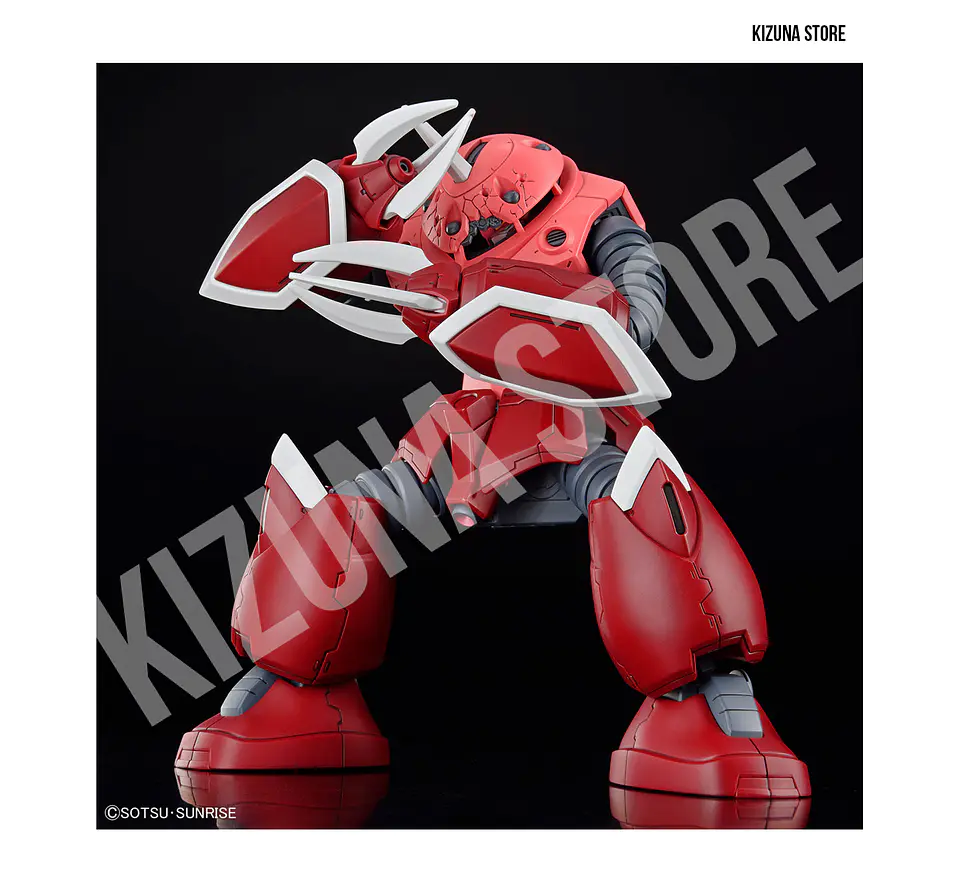 HG ZGMF-MM07 Z'Gok (Gundam Seed Version) 3