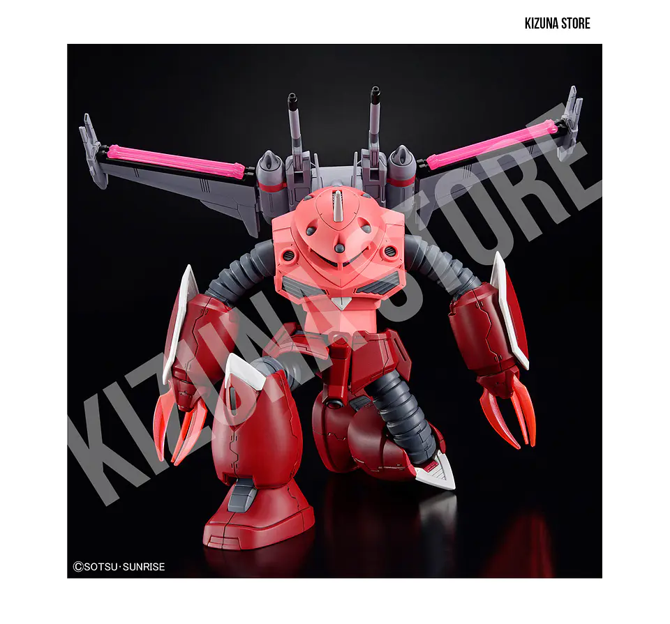 HG ZGMF-MM07 Z'Gok (Gundam Seed Version) 6
