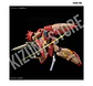 HG Me02R-M01 Messer Type-M01 (Gawman Use) - Miniatura 5