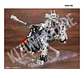 1/72 RZ-007 Shield Liger DCS-J Marking Plus Ver - Miniatura 7