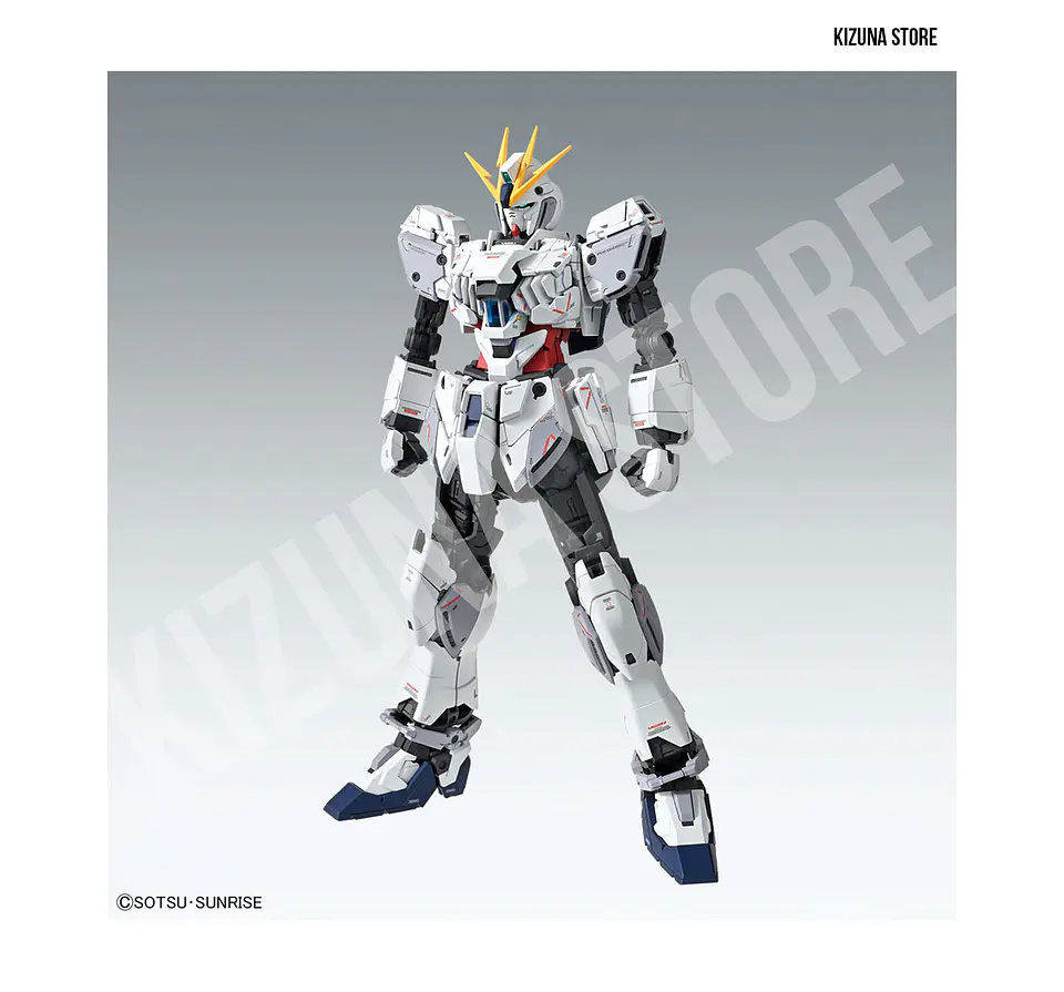 MG Gundam Narrative C-Packs 4