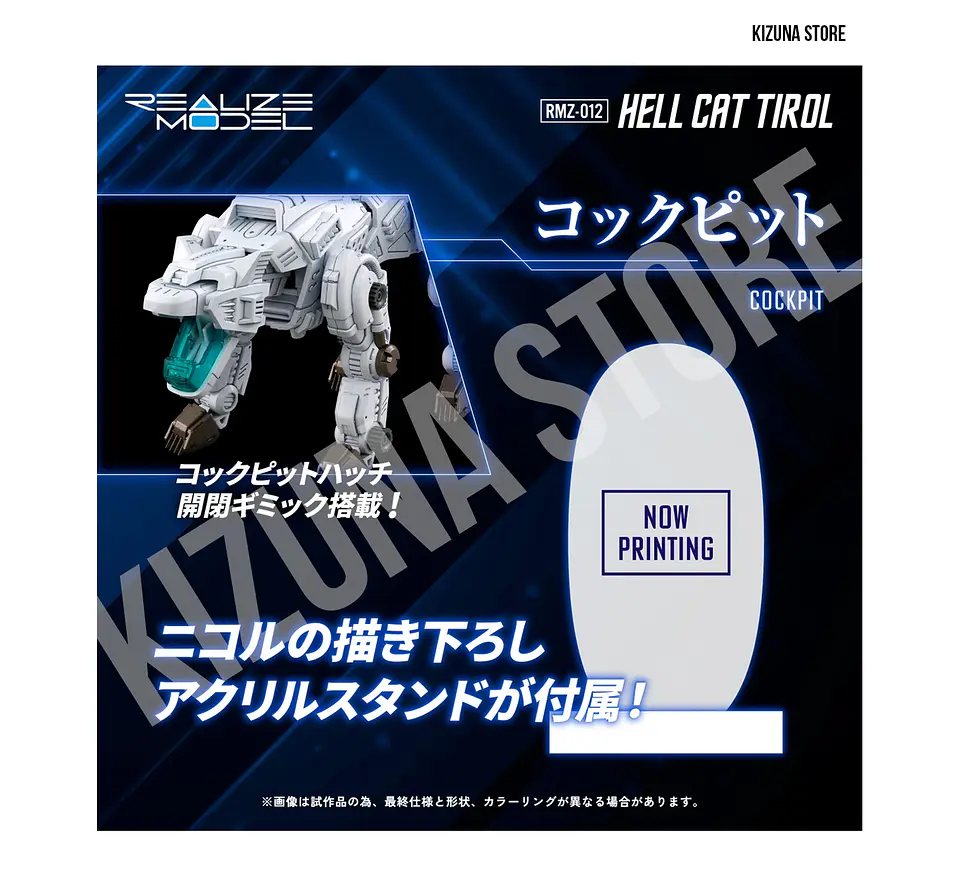 1/100 RMZ-012 Hell Cat Tirol 9