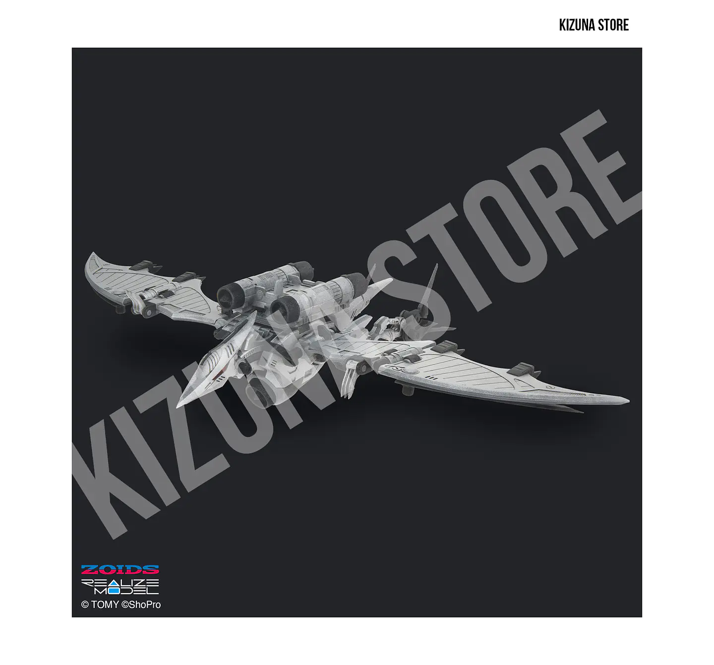 1/100 RMZ-024 Storm Sworder 10