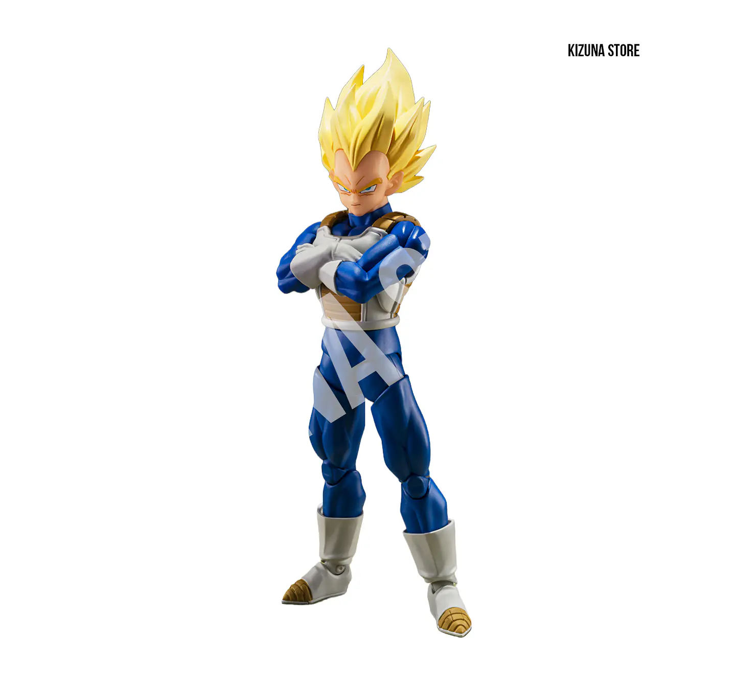 Super Saiyan Vegeta: Dangerous Pride 1