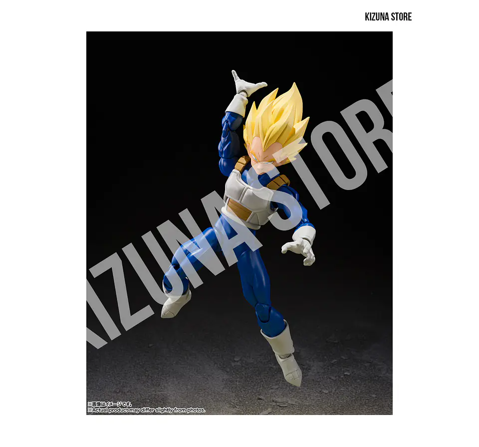 Super Saiyan Vegeta: Dangerous Pride 4