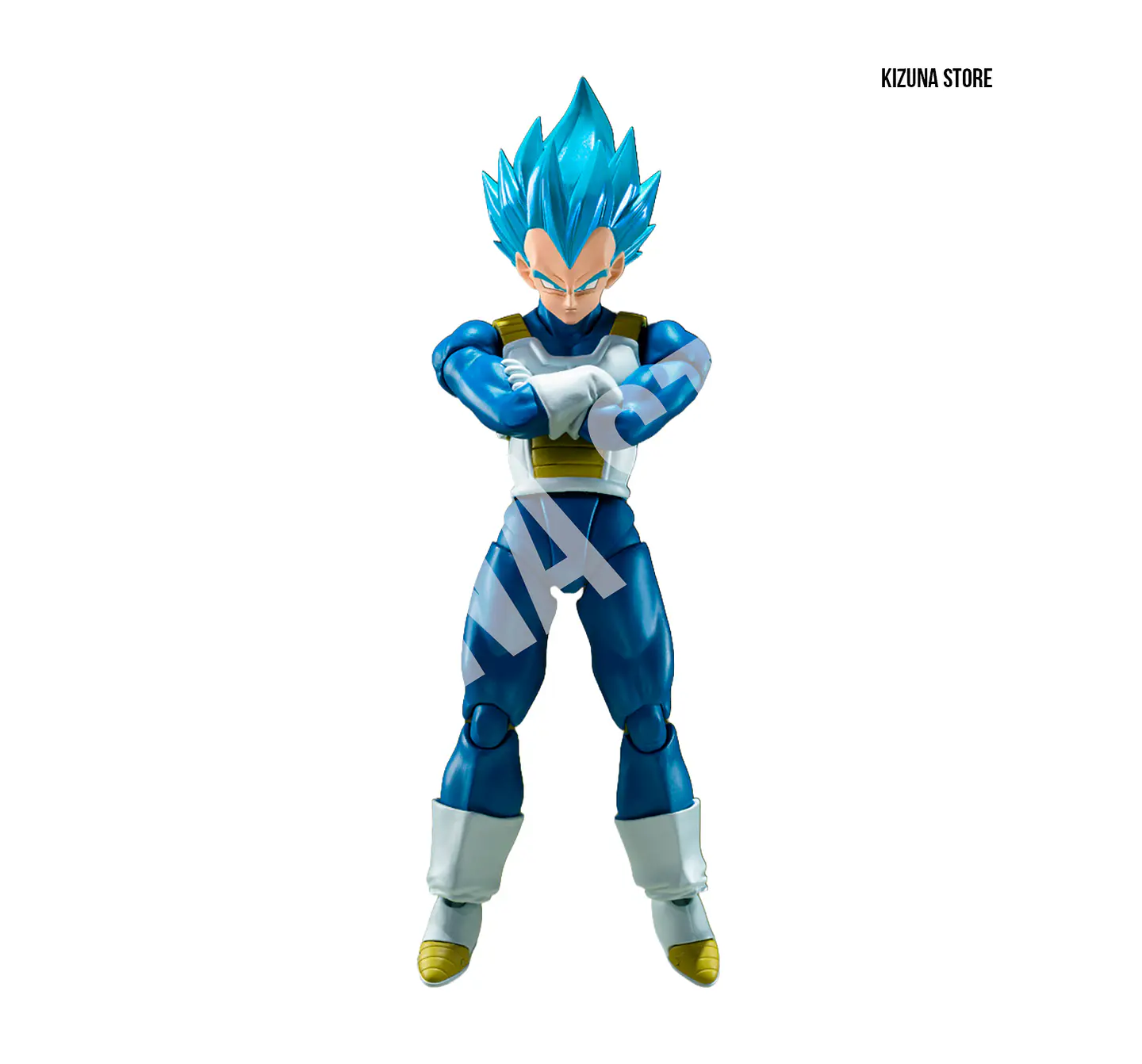 Super Saiyan God Super Saiyan Vegeta: Unwavering Saiyan Pride 1