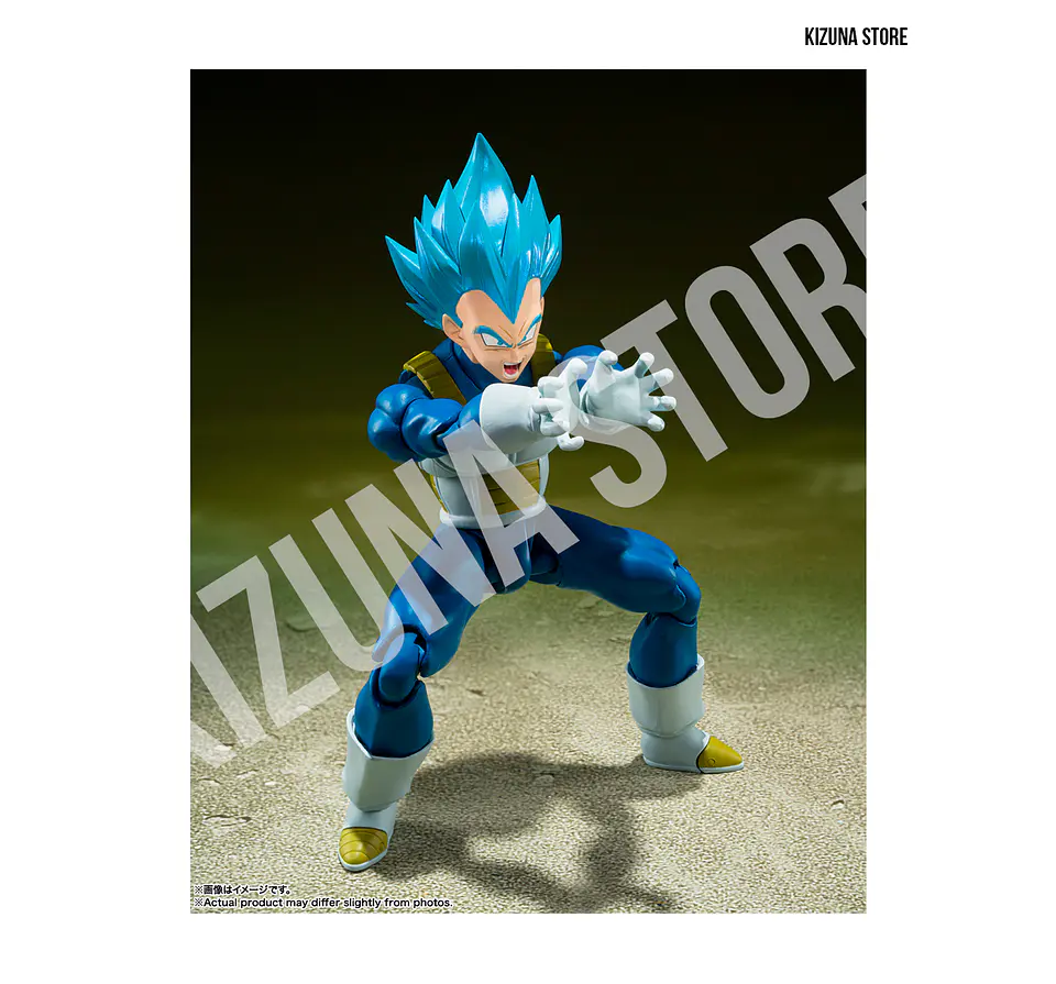 Super Saiyan God Super Saiyan Vegeta: Unwavering Saiyan Pride 3
