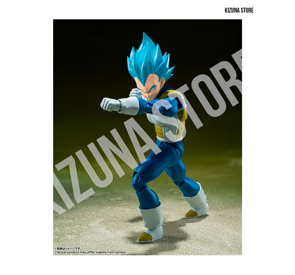 Super Saiyan God Super Saiyan Vegeta: Unwavering Saiyan Pride 4
