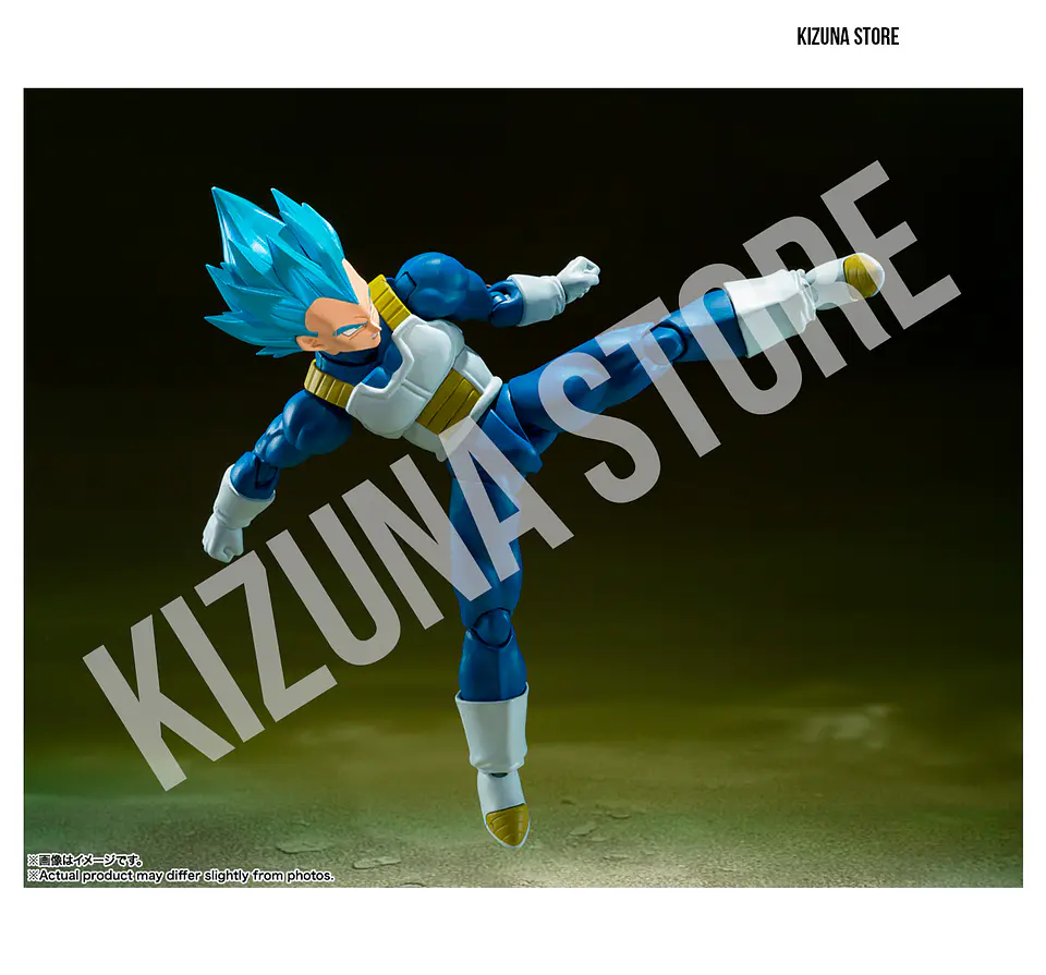 Super Saiyan God Super Saiyan Vegeta: Unwavering Saiyan Pride 5