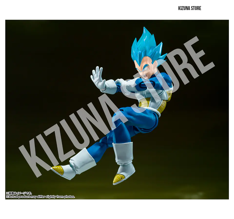 Super Saiyan God Super Saiyan Vegeta: Unwavering Saiyan Pride 6