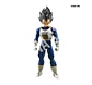 Vegeta: Z Fighter