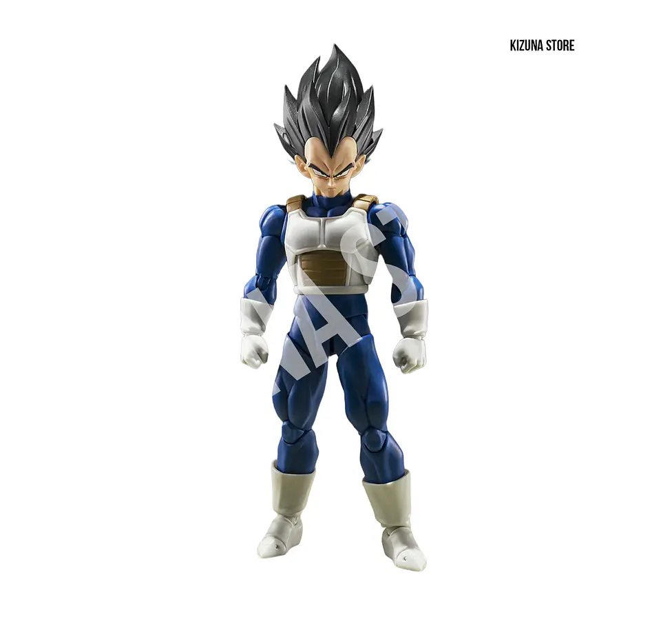 Vegeta: Z Fighter