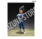 Vegeta: Z Fighter