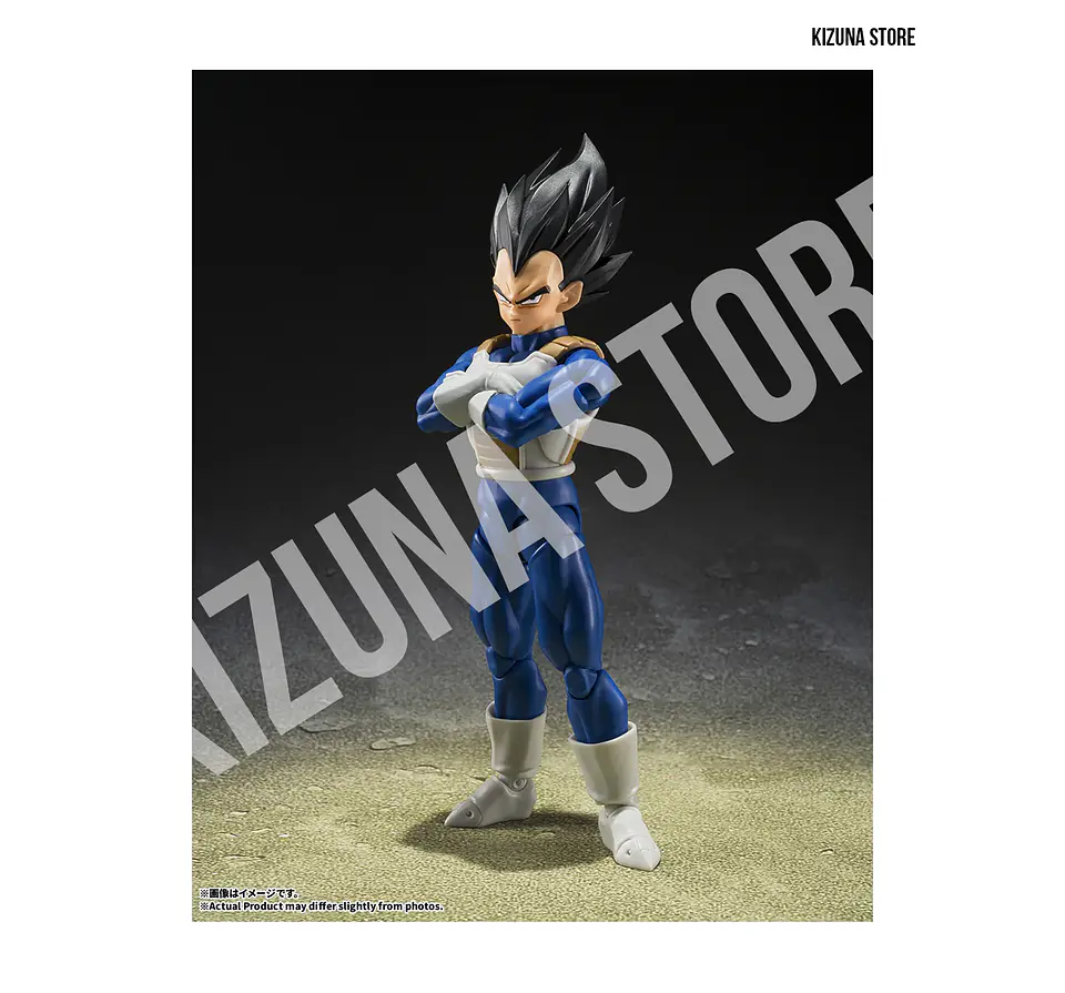 Vegeta: Z Fighter