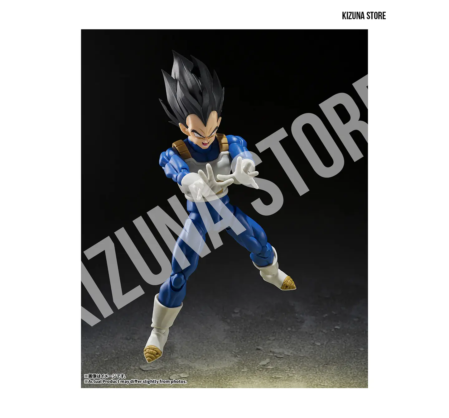 Vegeta: Z Fighter