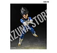 Vegeta: Z Fighter