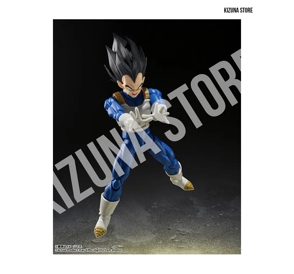 Vegeta: Z Fighter