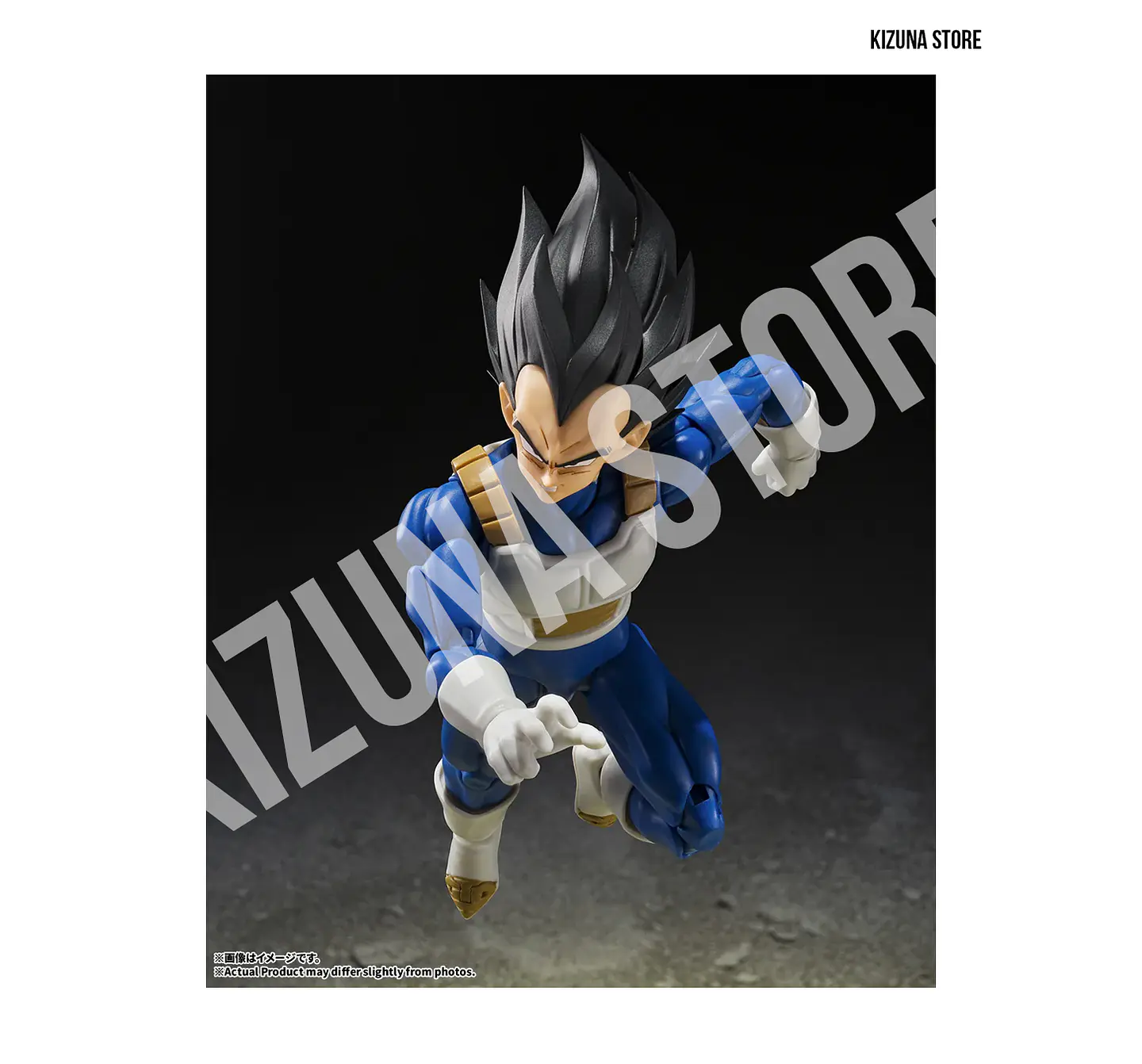 Vegeta: Z Fighter