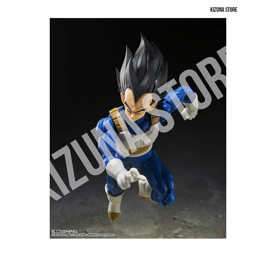 Vegeta: Z Fighter
