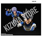 Vegeta: Z Fighter
