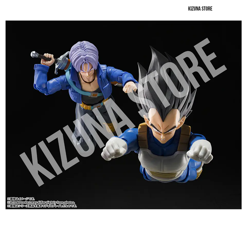 Vegeta: Z Fighter