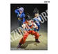 Vegeta: Z Fighter