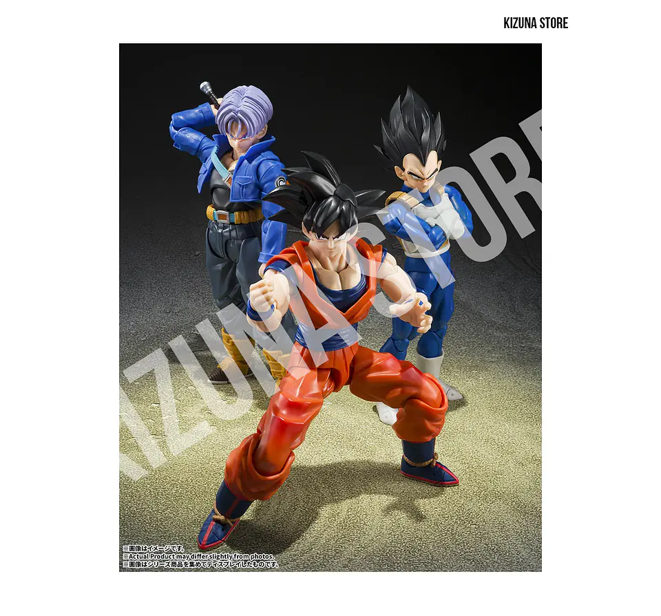 Vegeta: Z Fighter