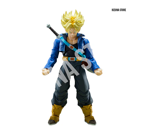 Trunks -The Boy From The Future-