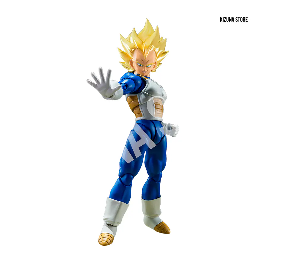 Super Saiyan Vegeta -Awakened Super Saiyan Blood- 1